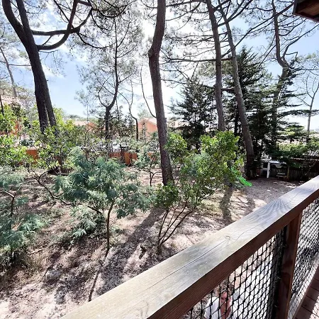 Villa Avec Piscine, Sud *