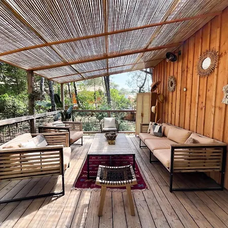 Villa Avec Piscine, Sud Lacanau