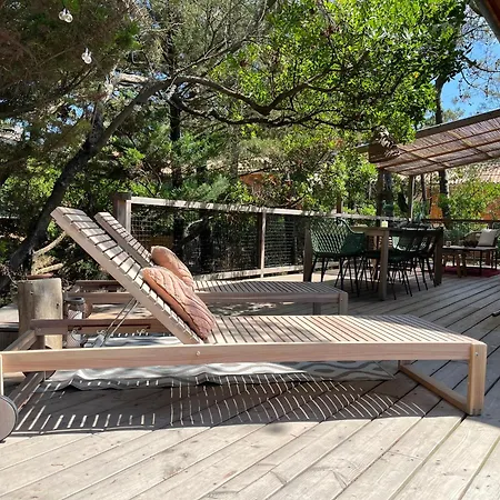 Villa Avec Piscine, Sud Lacanau